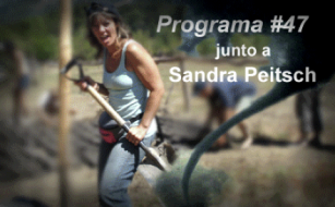 Sandra Peitsch